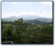 Sunny View