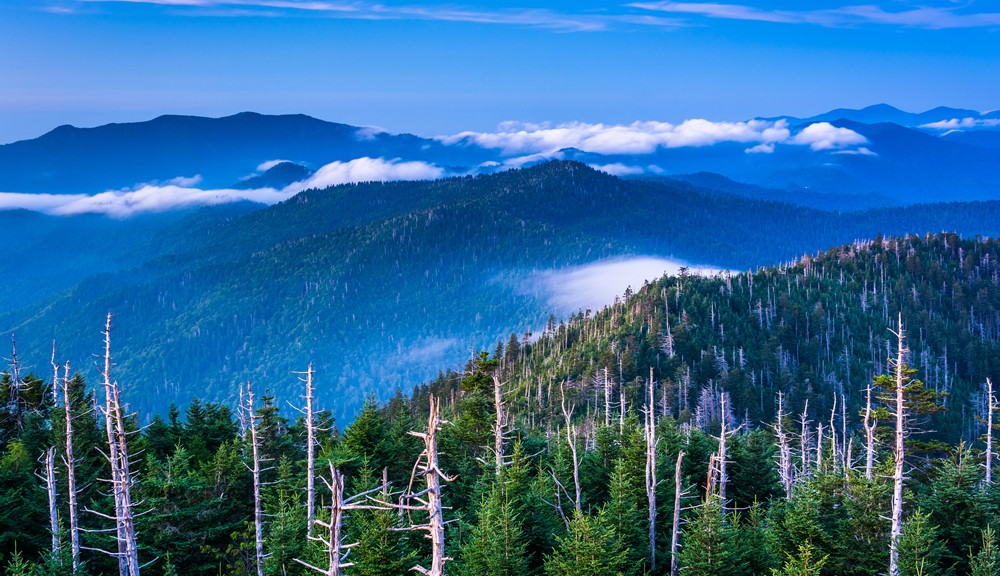 What's New in the Smoky Mountains