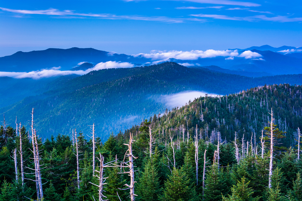 What's New in the Smoky Mountains
