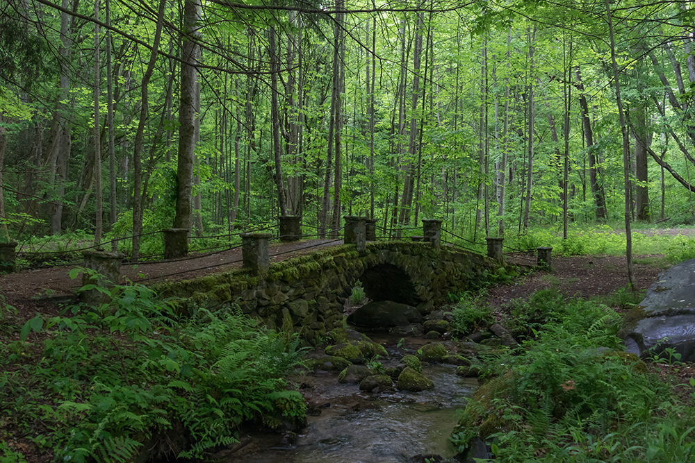fairy-fun-smokies-feature