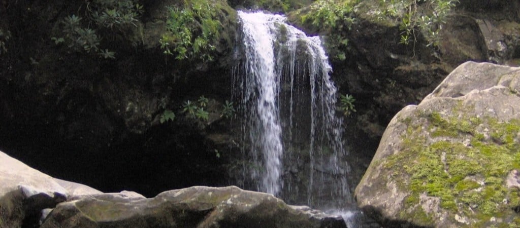 A delicate ribbon of water pours over mossy rock into a tranquil pool, surrounded by lush green forest in Great Smoky Mountains National Park