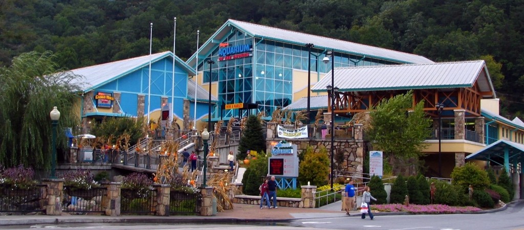 Ripley&rsquo;s Aquarium of the Smokies, Gatlinburg &mdash; photo by Brent Moore, via Wikimedia Commons