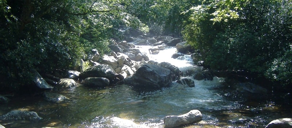 A clear mountain stream tumbles over rocks through dense green forest along the Chimney Tops Trail in Great Smoky Mountains National Park.