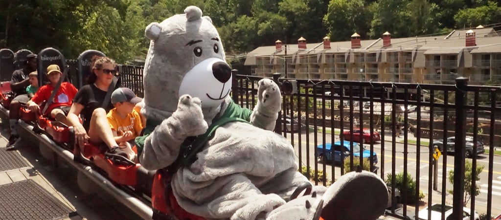 Barry the Bear Mascot on Mountain Coaster in the Smokies Barry the Bear, Cabins for You's mascot, gets excited and ready to launch on a mountain coaster in the Smokies.