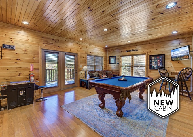 Morning Glory