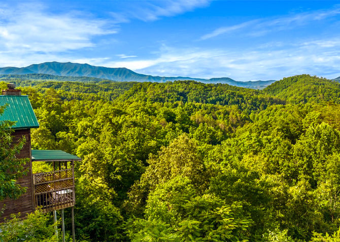 Mountain Romance