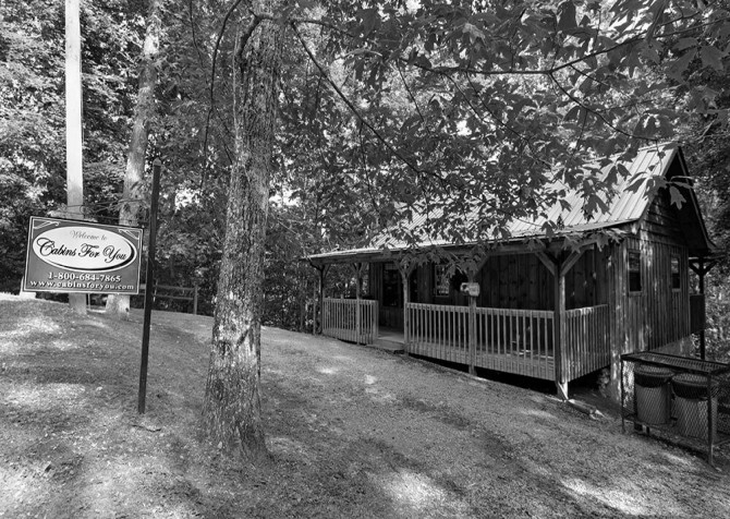 Shady Shack