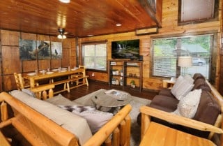 Pigeon Forge Cabin - Bearadise Cove - Living Room