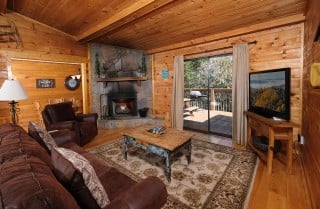 Pigeon forge - An Unforgettable Cabin - Living Room