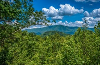 Pigeon Forge Cabin- American Pride – View