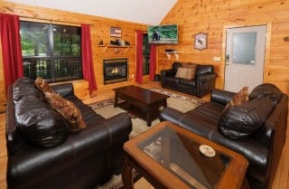Gatlinburg Cabin - Bear FootInn - Living Room