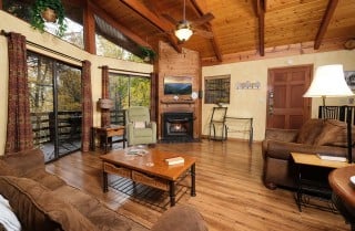 Gatlinburg - Cabin on the Creek - Living Room