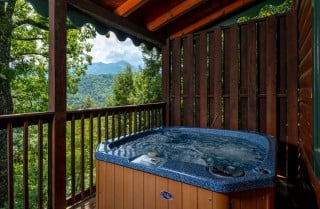 Gatlinburg - Bear Tracks - Exterior