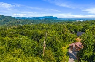 Gatlinburg Life's A Bear Overview