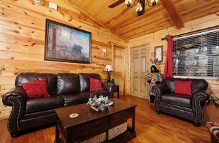Pigeon Forge - Bear End - Living Room