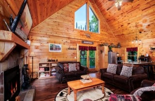 Pigeon Forge Bear Necessities Overview