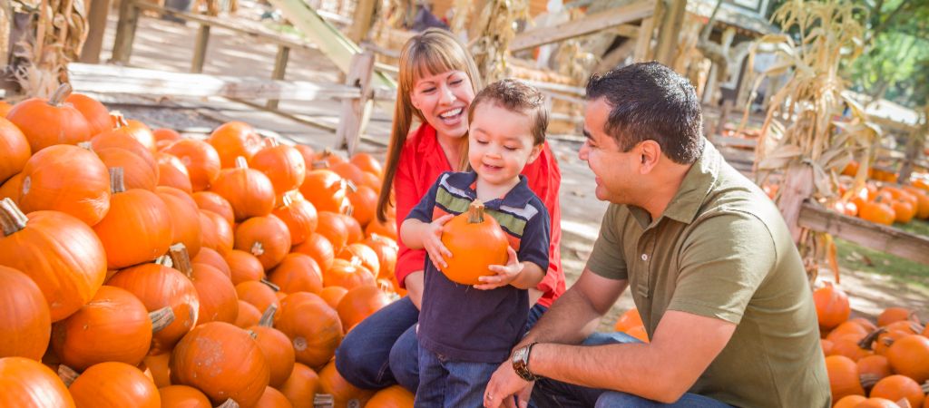 Family Attraction Picking Pumpkins A mother and father smile as their small boy picks out a pumpkin at an seasonal attraction.