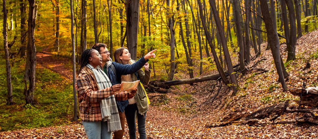 Friends Hiking Map Forest Fall Three young friends on a leave-covered fall trail in a forest curiously look and point to something interest while holding a map.