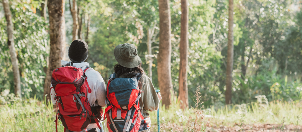 Two people wearing backpacks, layers, and trekking poles face towering trees on a hiking trail.
