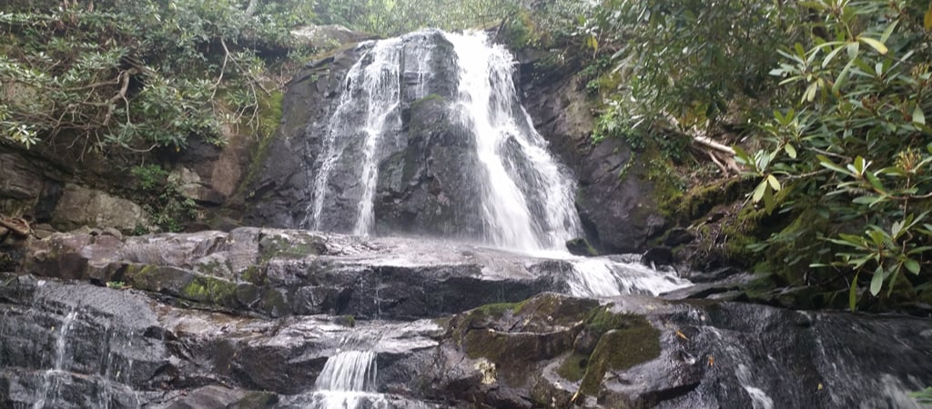 Laurel Falls tumbles down staggering, mossy rocks, with native Smoky Mountain plant life all around.