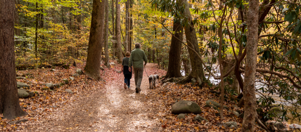 Mature Couple Hiking Gatlinburg With Dog A mature couple hiking a scenic trail near Gatlinburg with their dog on a leash, surrounded by nature in the Great Smoky Mountains.