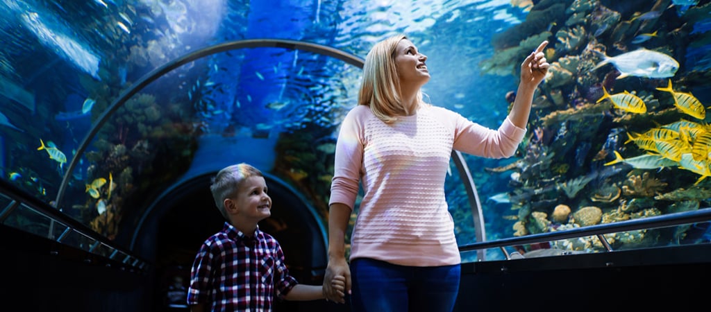 Mother and Son Explore Shark Tunnel A mother and young song hold hands while walking through a shark tunnel at a local aquarium.