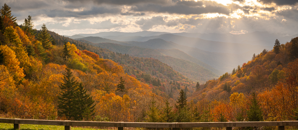 Newfound Gap Fall Smoky Mountain View A scenic fall view with vibrant colors painted across dipping valleys and rising peaks, illuminated by golden rays breaking through a cloudy sky from an overlook along Newfound Gap in the Great Smoky Mountains National Park.