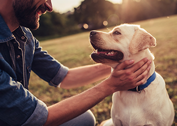 Pet-Friendly Vacation Rentals