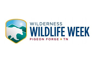 Wilderness Wildlife Week