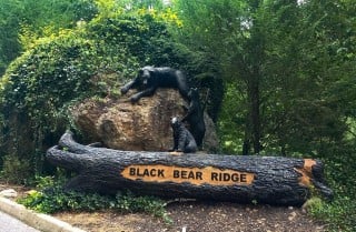 Pigeon Forge Resort - Black Bear Ridge Resort