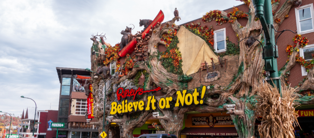 Ripley's Believe It Or Not Museum in Gatlinburg Exterior An exterior of Ripley's Believe It or Not museum in downtown Gatlinburg with fake tree branches, black bears, and other Smoky Mountain animals.