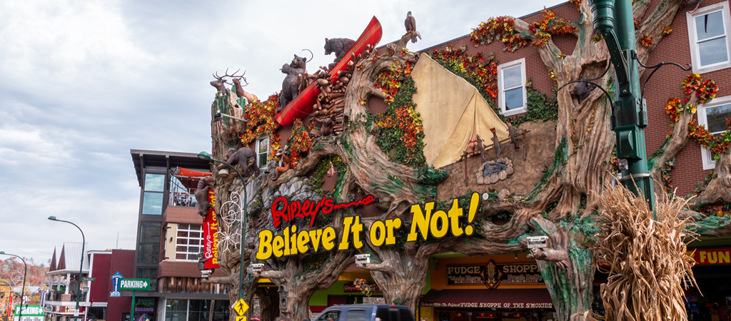 An exterior shot of Ripley's Believe It Or Not museum, showcasing an Appalachian campsite with wildlife all around in the design.