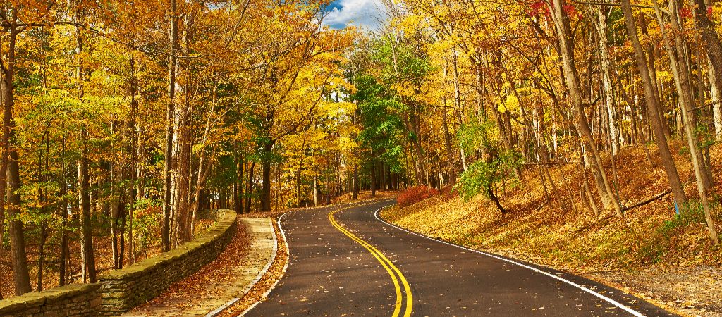 Road Winding Autumn Forest A road winds through fall-colored trees on a scenic drive.