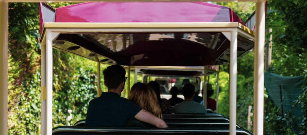 Young couple sitting close on a tourist shuttle ride through greenery.