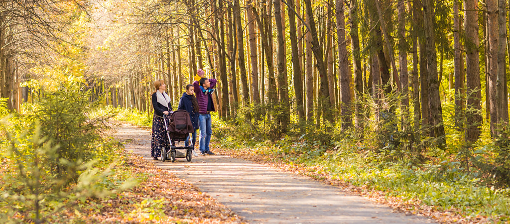 Young Family Walking a Paved Trail with a Stroller A mother pushes a stroller while a father holds a small child on his shoulders and a young boy walks alongside on a paved path through towering trees on a sunny day.
