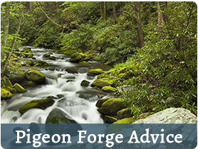 Pigeon Forge Advice